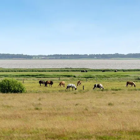 Eltje - 4km From The Sea By Interhome Dom wakacyjny