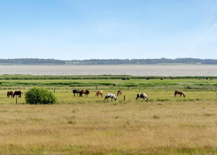 Eltje - 4km From The Sea By Interhome Сasa de vacaciones